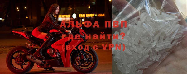 СК Алексин