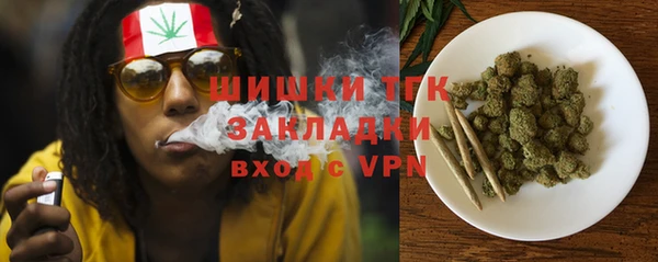 мяу мяу мука Алзамай