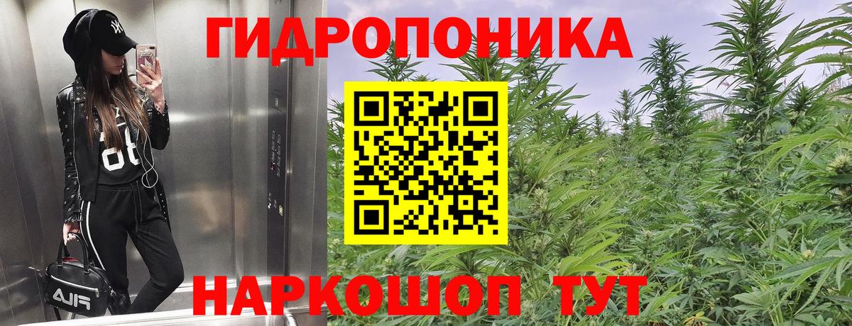 МАРИХУАНА индика  Вход с VPN  Кудрово  Шишки марихуана марихуана 